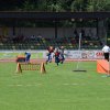 2015 Landesentscheid JF