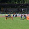 2015 Landesentscheid JF