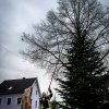2016 Weihnachtsmarkt